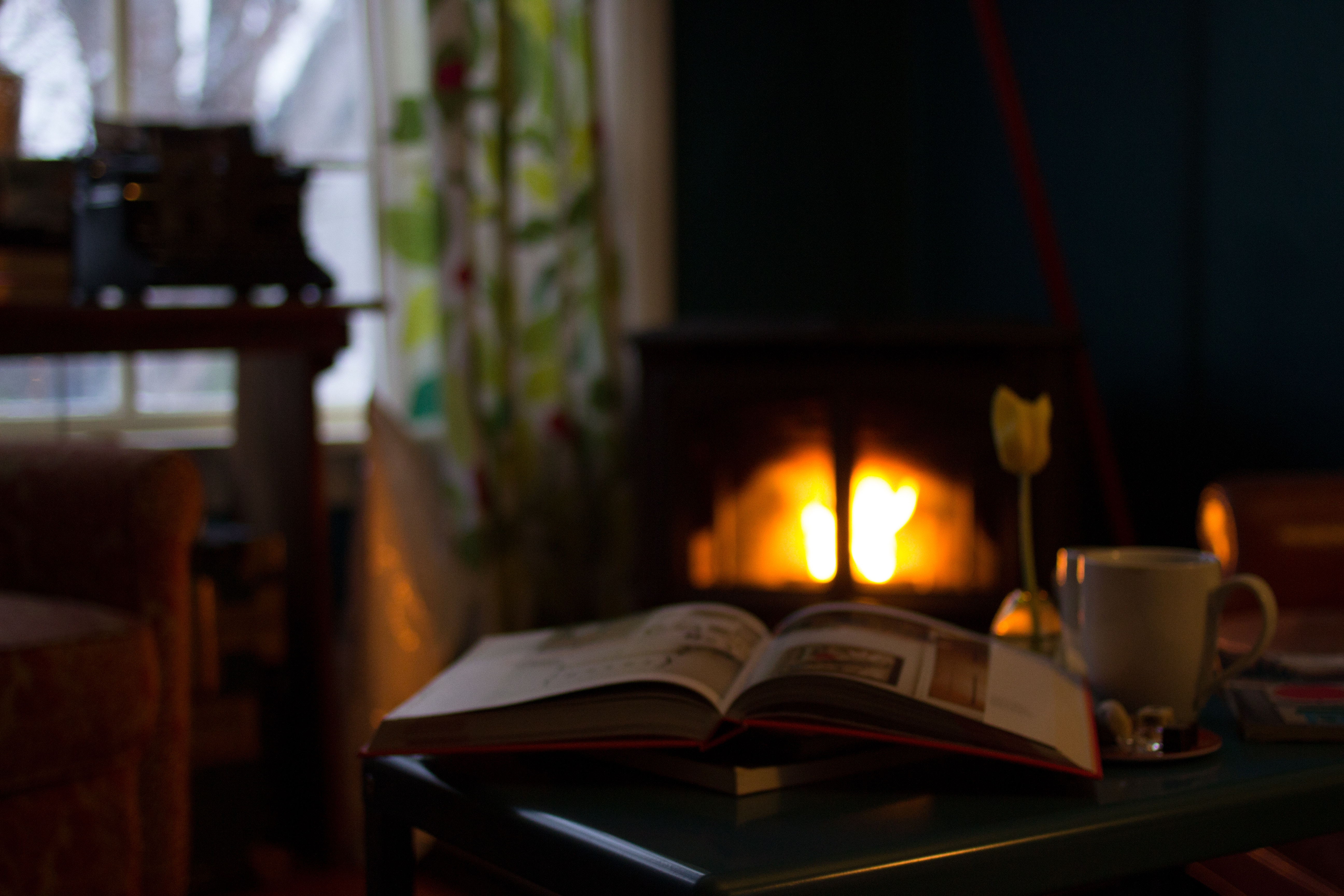 book, flower, and mug in front of fireplace