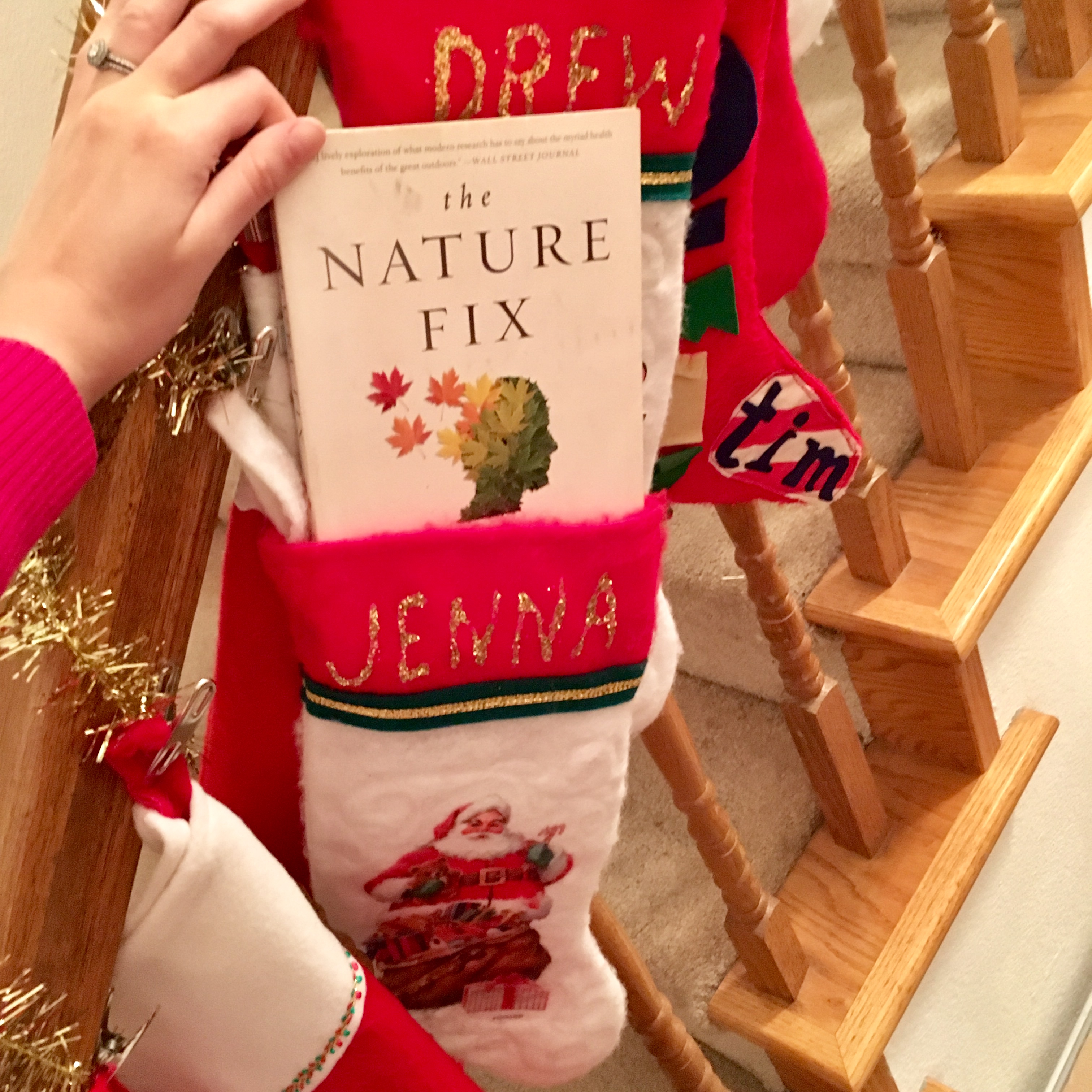 Hand lifting The Nature Fix paperback book out of a Christmas stocking