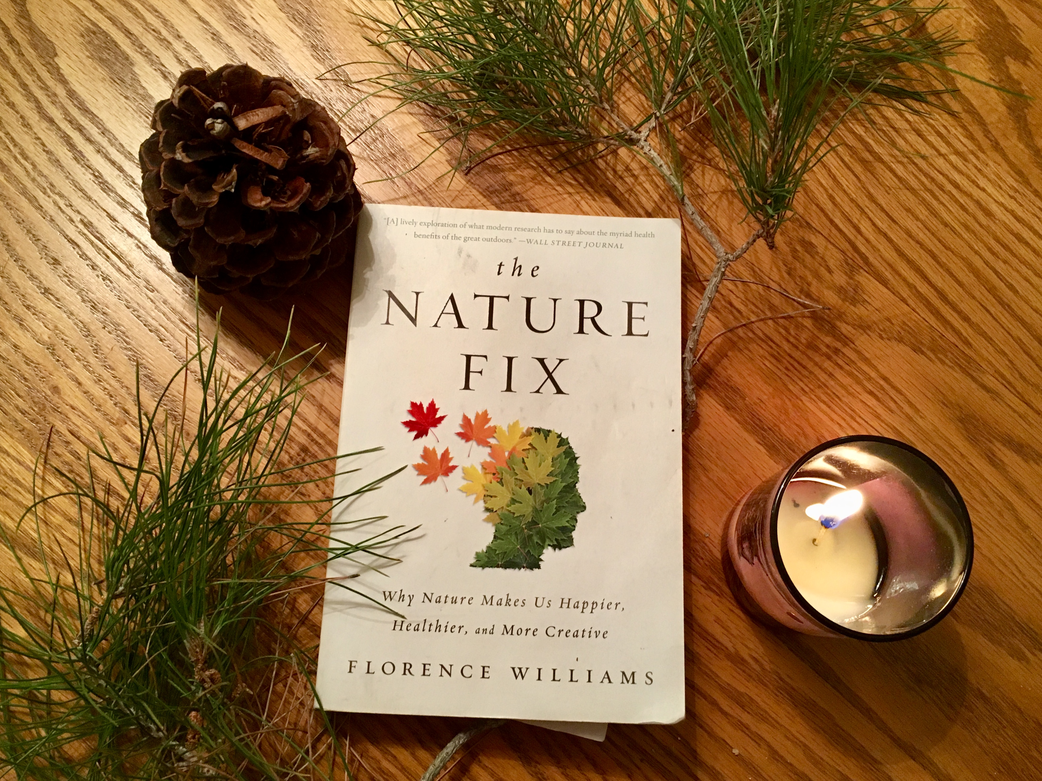 The Nature Fix paperback sitting on wood table next to pine needles, a pine cone, and a candle
