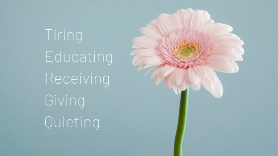 Pink flower against blue background with the words, "tiring," "educating," "receiving," "giving," and "quieting" beside it